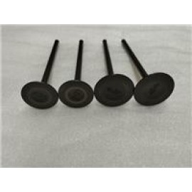 GT 250MAX- 002 EMME-EKSOZ SİBOBU