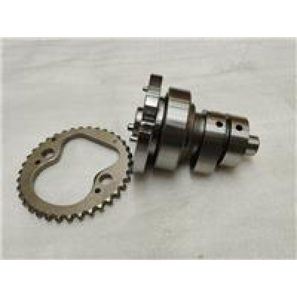 GT 250MAX- 003 EKSANTRİK MİLİ VE DİŞLİSİ
