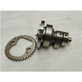 GT 250MAX- 003 EKSANTRİK MİLİ VE DİŞLİSİ