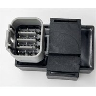 HECTOR PRO 450-172 BEYİN (HIZ DÜZENLEYİCİ)