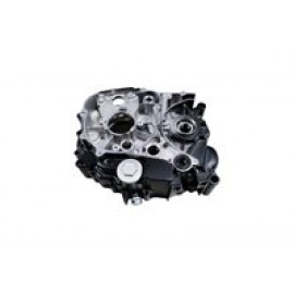 JAGUAR 125 - 029
SOL KARTEL