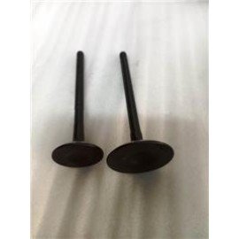 MAX-T 127
EMME-EKSOZ SİBOBU