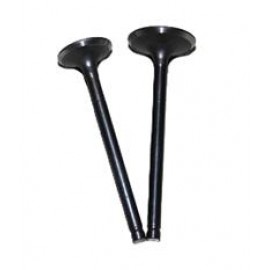 MOJITO 125 - 042
EMME-EKSOZ SİBOBU