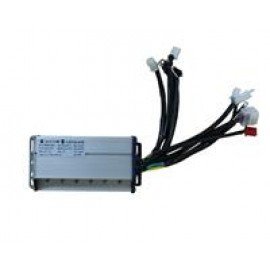 PANTER 249-004
BEYİN 72V.