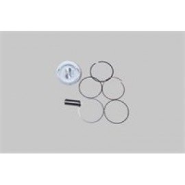 QUANTUM125 - 105
PİSTON SEKMAN TK.