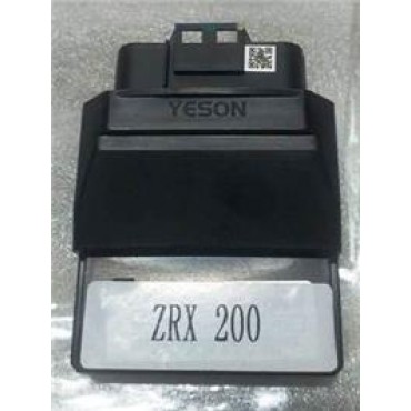 ZRX - 005 BEYİN (EURO 5 - B1637A)
