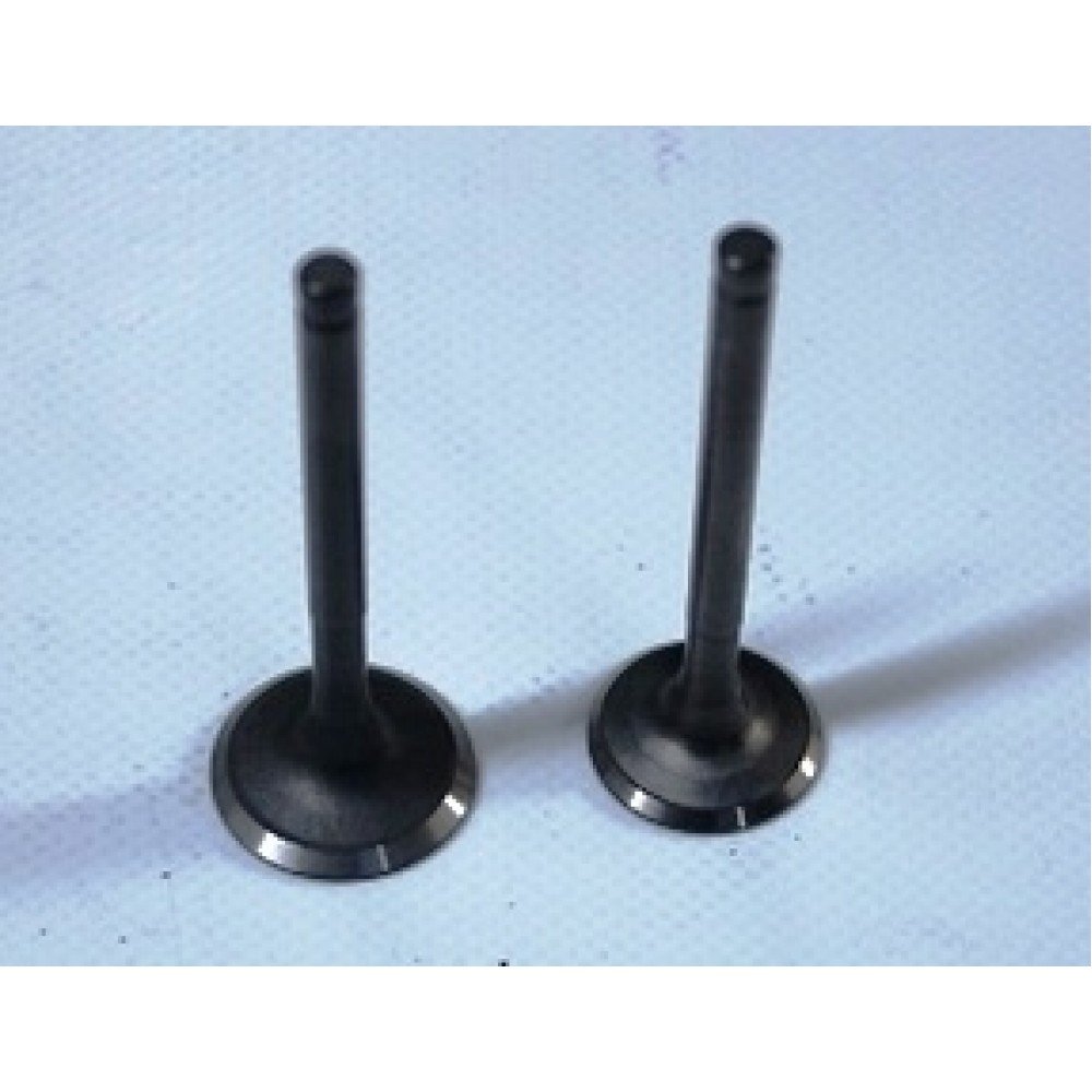 CAPPUCINO 125CC - 016
EMME-EKSOZ SİBOBU