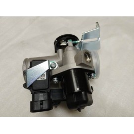 GAZ KELEBEĞİ KOMPLE